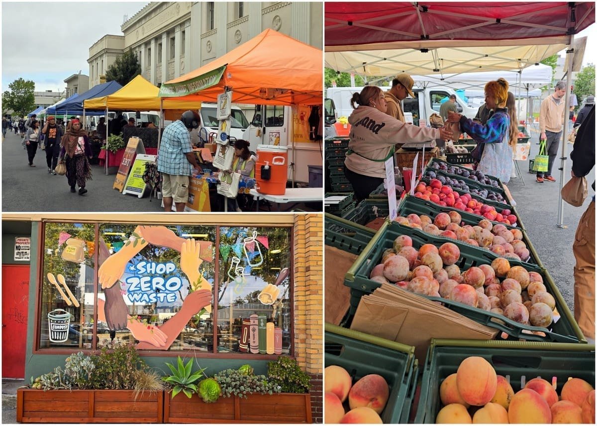 16 Things to Do in Berkeley, California 11 Berkeley Farmers markets