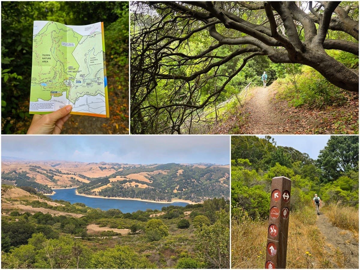 16 Things to Do in Berkeley, California 14 Tilden Regional Park
